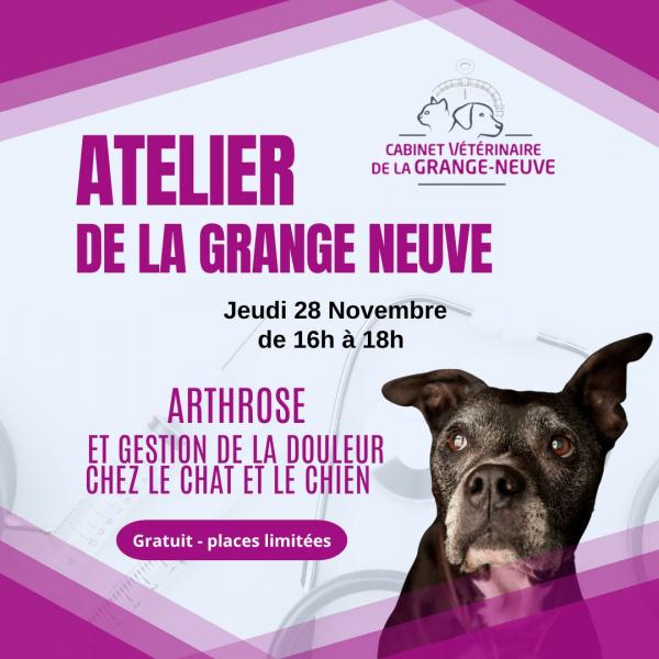 Cabinet de la Grange-Neuve
