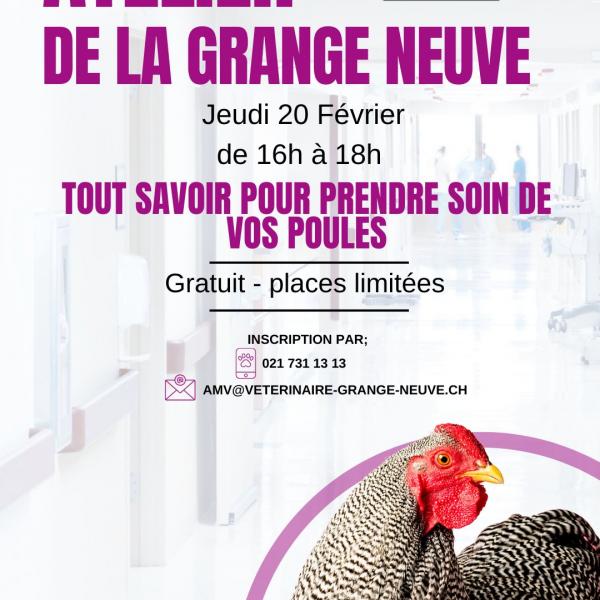 Cabinet de la Grange-Neuve