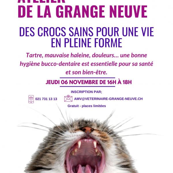 Cabinet de la Grange-Neuve